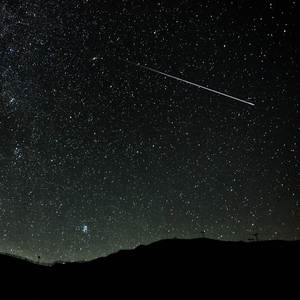 真人做爱动态视频
